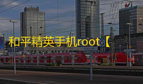 和平精英手机root【铃木内核】科技