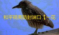 和平精英防封端口【一花端口】